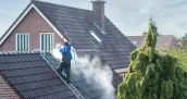 Limpieza de musgo en tejados en Vecindario 35110 y mantenimiento de canalones