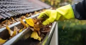 Limpieza de musgo en tejados en Zaragoza 50001 y mantenimiento de canalones