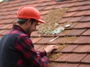 Limpieza de musgo en tejados en Cartagena 30200 y mantenimiento de canalones